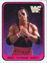 WWF Wrestling Trading Cards 1991 - Merlin/Topps