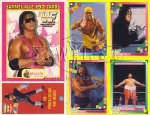 WWF Wrestling Trading Cards 1993 - Merlin/Topps