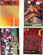 Champion Cards EM 96 - Panini