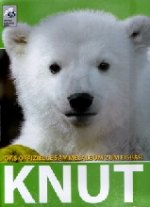 Knut - Preziosi
