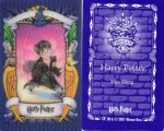 Harry Potter Schokofrosch Cards - Sonstiges