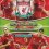 Liverpool 2011/2012 Adrenalyn XL Trading Cards