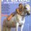 Pferde - Alles über deine Lieblinge 1991