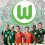 VfL Wolfsburg 2018-2019 - Sammle die Sticker Deiner Champions